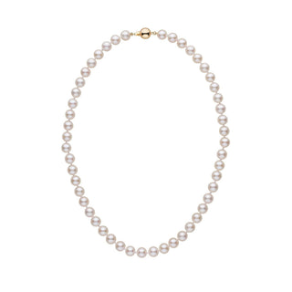 7.0-7.5 mm White Akoya AA+ Pearl Necklace Yellow Gold