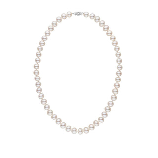 7.5-8.0 mm AA+ White Freshwater Pearl Necklace featuring lustrous, round white freshwater pearls with a classic clasp, perfect for elegant and timeless style.