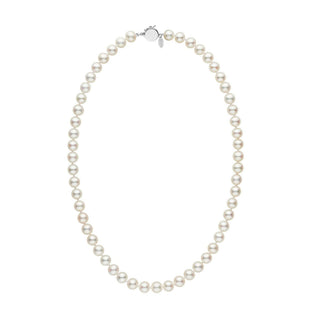 Personalized 7.5-8.0 mm White Freshadama Freshwater Pearl Circle Clasp Necklace featuring lustrous white freshwater pearls with a secure 14K white gold circle clasp.