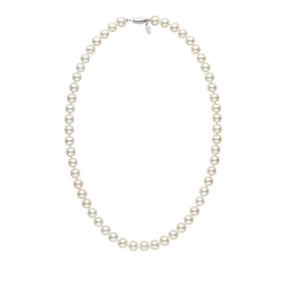 7.5-8.0 mm White Freshadama Freshwater Pearl Necklace featuring lustrous, round white freshwater pearls strung in a classic strand with a 14K white gold clasp.