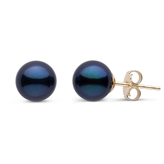 7.5-8.0 mm AA+ Black Akoya Pearl Stud Earrings yellow gold