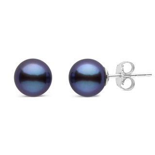7.5-8.0 mm AAA Black Freshwater Pearl Stud Earrings featuring round, lustrous black pearls set on 14K white gold posts with butterfly backs, perfect for elegant everyday wear.