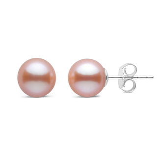 7.5-8.0 mm AAA Pink to Peach Freshwater Pearl Stud Earrings featuring round, lustrous pearls with 14K white gold posts, perfect for elegant everyday wear or special occasions.