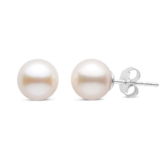 7.5-8.0 mm AAA white freshwater pearl stud earrings featuring round, lustrous pearls set on 14K white gold posts for a classic and elegant look.