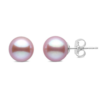 7.5-8.0 mm Lavender Freshadama Freshwater Pearl Stud Earrings with lustrous round lavender pearls set on 14K white gold posts, elegant and perfect for everyday wear.