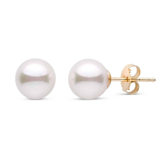 7.5-8.0 mm White Akoya AA+ Pearl Stud Earrings yellow gold