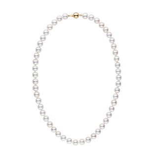 8.0-8.5 mm AAA White Akoya Pearl Necklace yellow gold