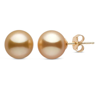 8.0-9.0 mm AAA Golden South Sea Pearl Stud Earrings yg
