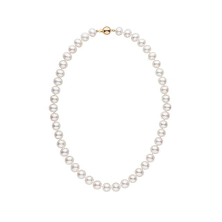 8.5-9.0 mm White Freshwater Pearl Necklace yellow gold