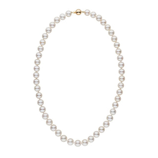 8.5-9.0 mm AAA White Freshwater Pearl Necklace yellow gold