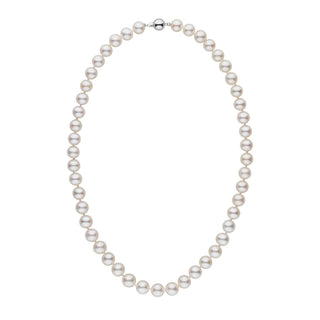 8.5-9.0 mm AAA White Freshwater Pearl Necklace white gold