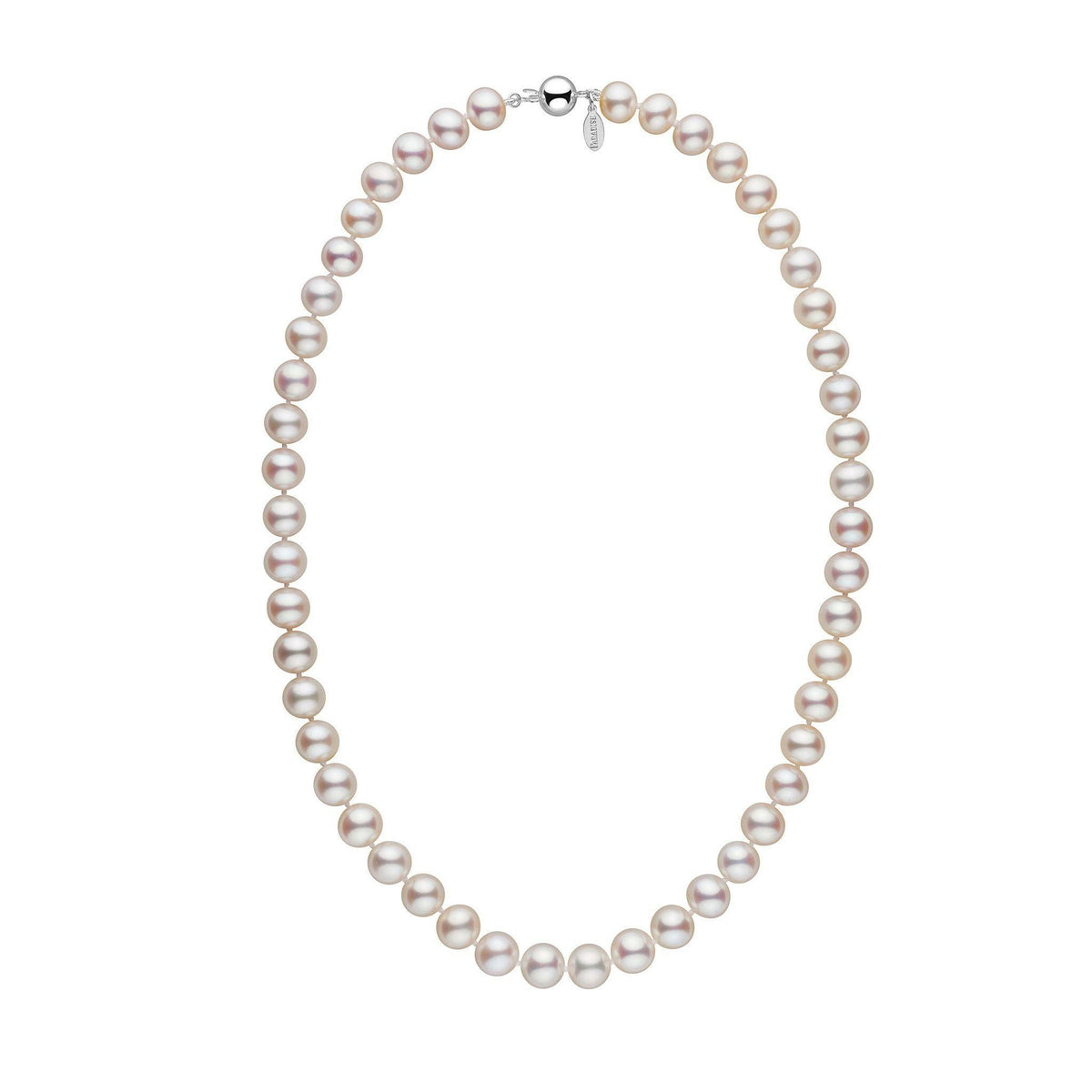 8.5-9.0 mm White Freshadama Freshwater Pearl Necklace showcasing lustrous white freshwater pearls strung together with a 14K white gold clasp, perfect for elegant occasions.