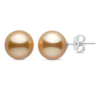 9.0-10.0 mm AAA Golden South Sea Pearl Stud Earrings featuring lustrous golden pearls set on 14K white gold posts, ideal for elegant and timeless style.
