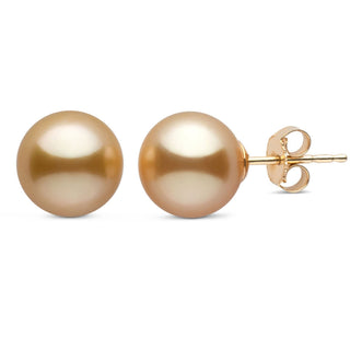 9.0-10.0 mm AAA Golden South Sea Pearl Stud Earrings featuring lustrous golden pearls set on gold posts with butterfly backs, ideal for elegant and timeless wear.