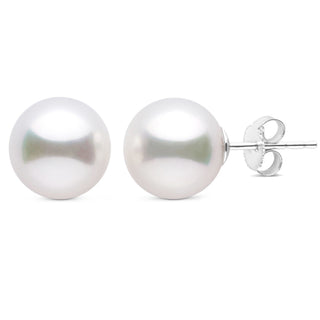 9.0-10.0 mm AAA White South Sea Pearl Stud Earrings wg