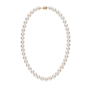 9.0-9.5 mm 18 Inch AA+ White Akoya Pearl Necklace yellow gold