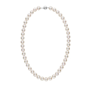 9.0-9.5 mm 18 Inch AA+ White Akoya Pearl Necklace white gold