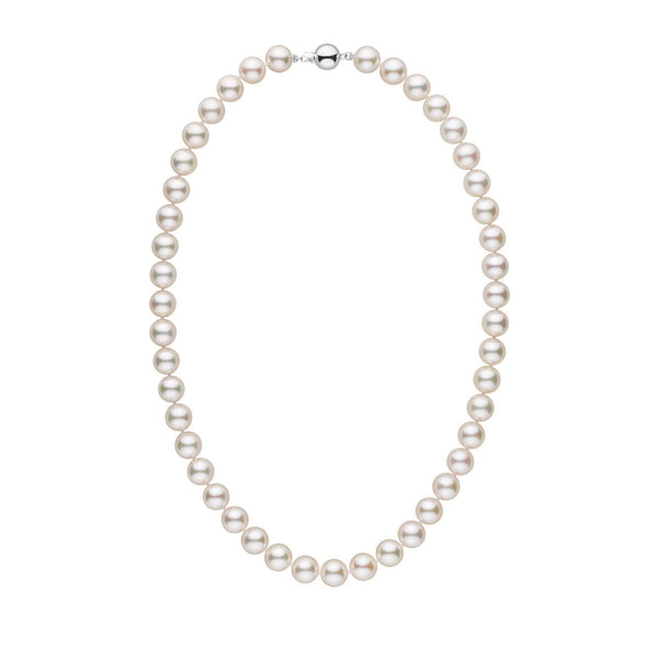 9.0-9.5 mm 18 Inch AA+ White Akoya Pearl Necklace white gold