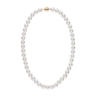 9.0-9.5 mm 18 Inch AAA White Akoya Pearl Necklace yellow gold