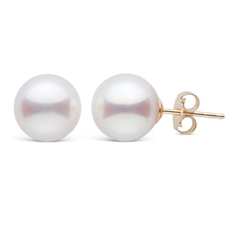 9.0-9.5 mm White Akoya AA+ Pearl Stud Earrings yellow gold