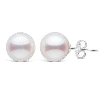 9.0-9.5 mm White Akoya AA+ Pearl Stud Earrings white gold