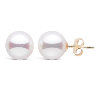 9.0-9.5 mm White Akoya AAA Pearl Stud Earrings Yellow Gold