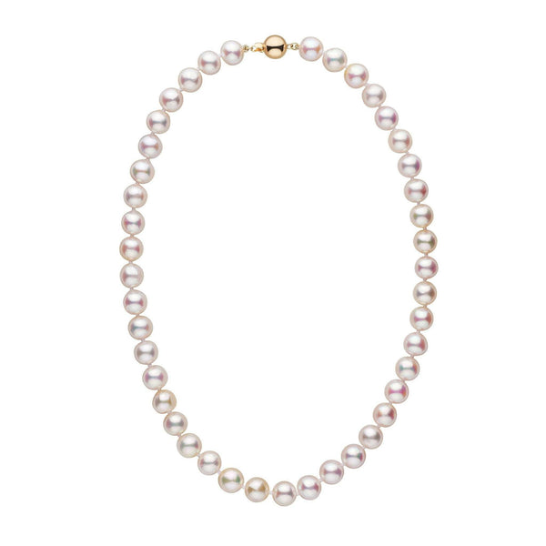 Elegant 9.5-10.0 mm AAA White Akoya Pearl Necklace featuring lustrous cultured pearls with a gold clasp, perfect for timeless sophistication and refined style.