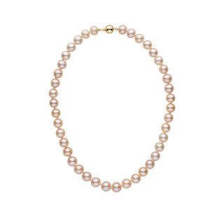 9.5-10.5 mm Pink to Peach Freshadama Freshwater Pearl Necklace featuring lustrous round pearls in soft pink and peach tones with a gold clasp, elegant and classic pearl strand.