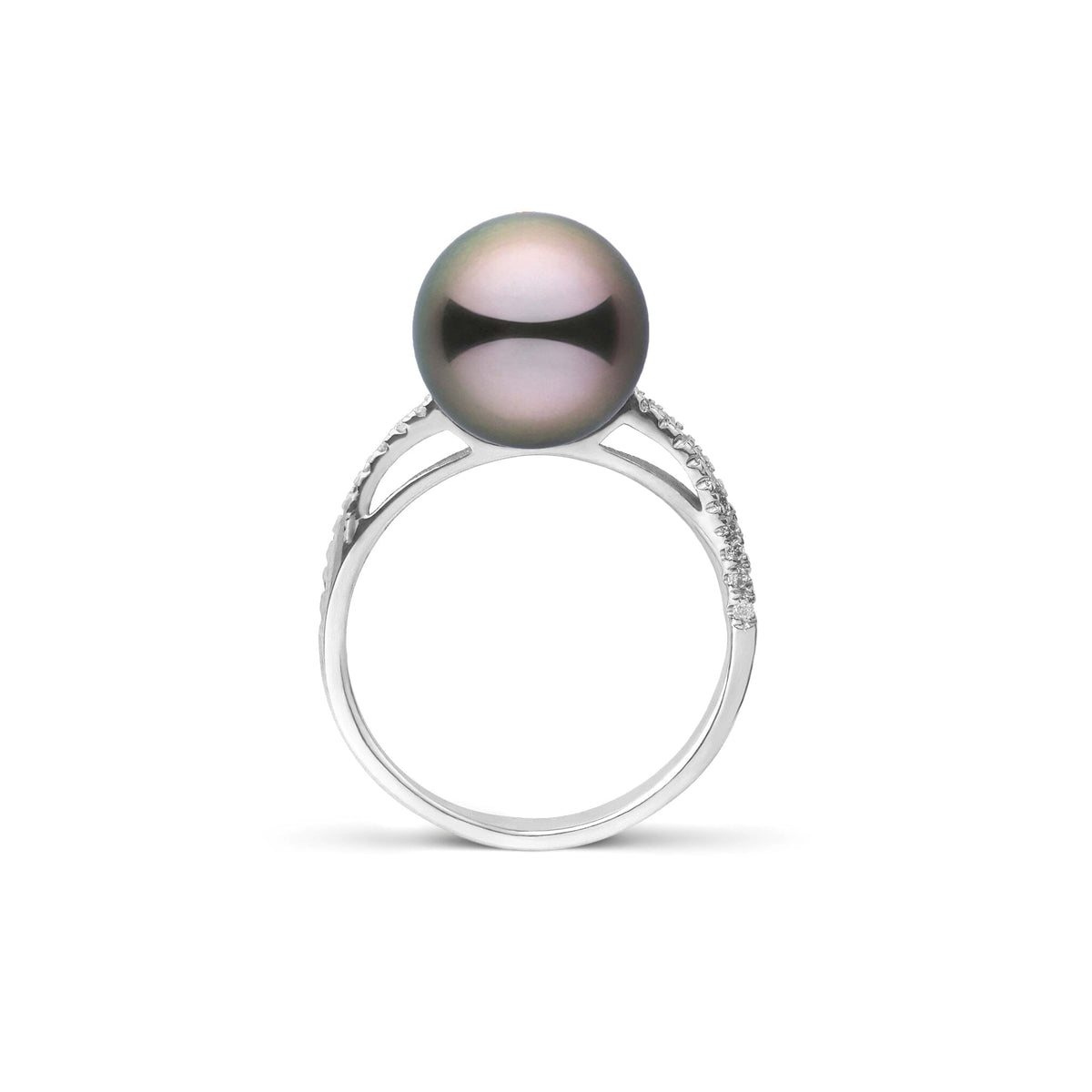Pirouette Collection 10.0-11.0 mm Tahitian Pearl and Diamond Ring White Gold side