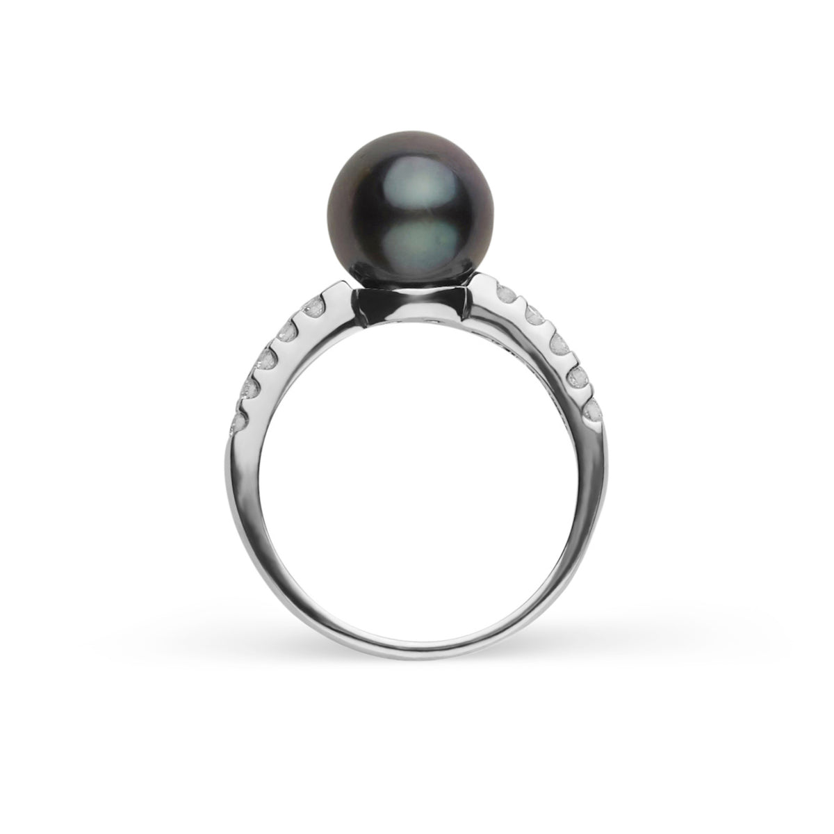 Decade Collection 9.0-10.0 mm Tahitian Pearl and Diamond Ring featuring a lustrous black Tahitian pearl set on a sleek white metal band accented with diamonds.