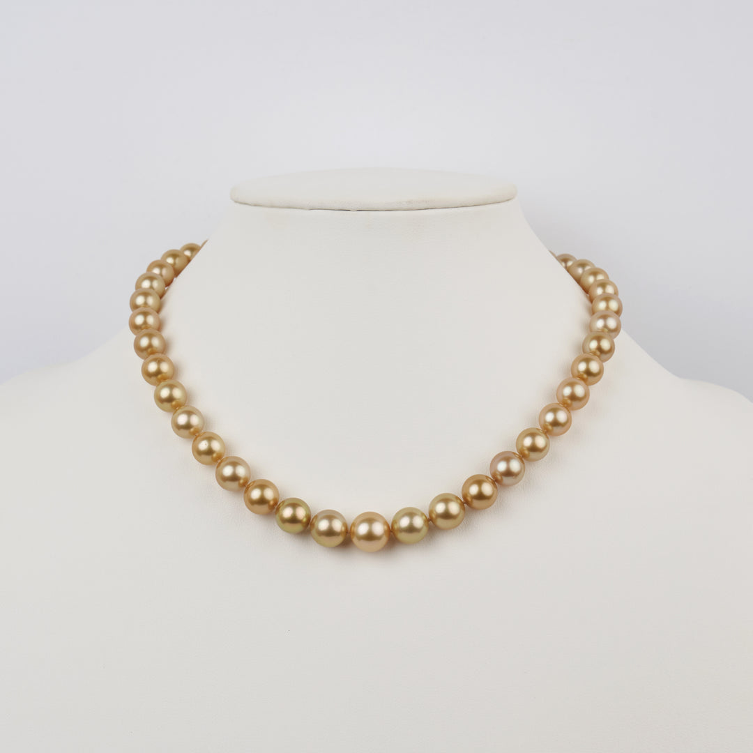 8.4-11.6 mm AA+/AAA Round Golden South Sea Pearl Necklace bust view