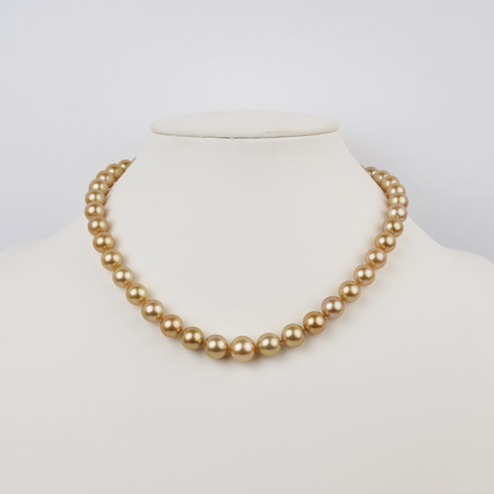 8.4-11.6 mm AA+/AAA Round Golden South Sea Pearl Necklace bust view