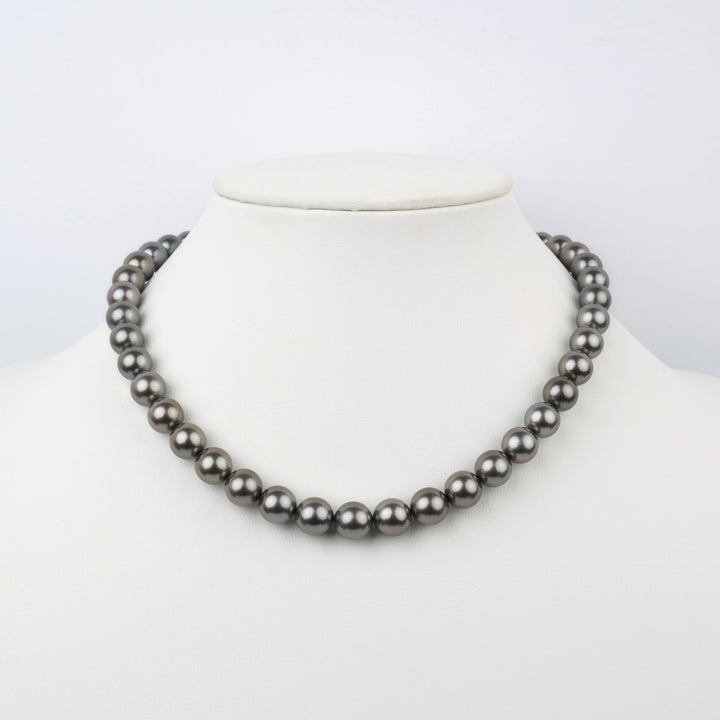 8.4-10.8 mm AAA Tahitian Round Pearl Necklace Bust