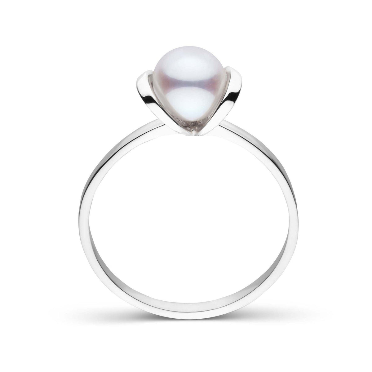 Bonita Collection Akoya Pearl Ring white gold front