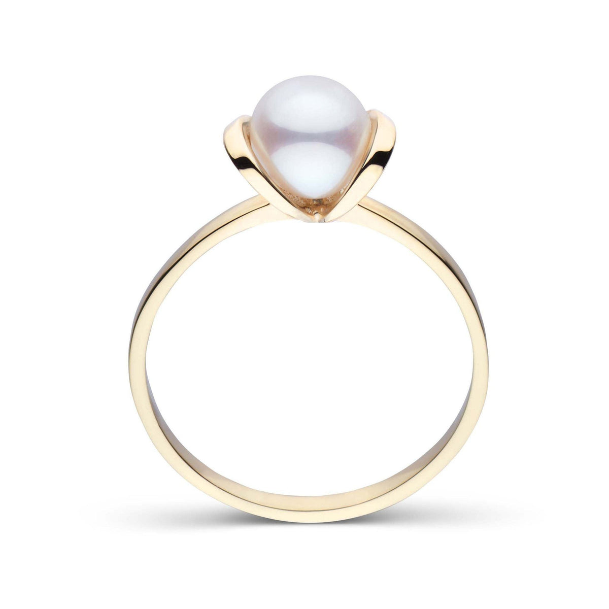 Bonita Collection Akoya Pearl Ring yellow gold front