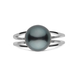 Bridge Collection 10.0-11.0 mm Tahitian Pearl Ring featuring a lustrous black Tahitian pearl set on a sleek, modern 14K white gold band with an elegant double split-shank design.