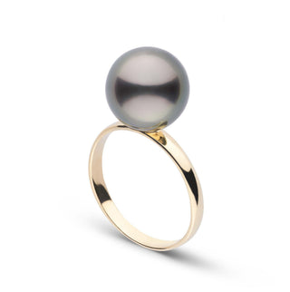 Classic Collection 10.0-11.0 mm Tahitian Pearl Ring featuring a lustrous black tahitian pearl set on a sleek and polished gold band.