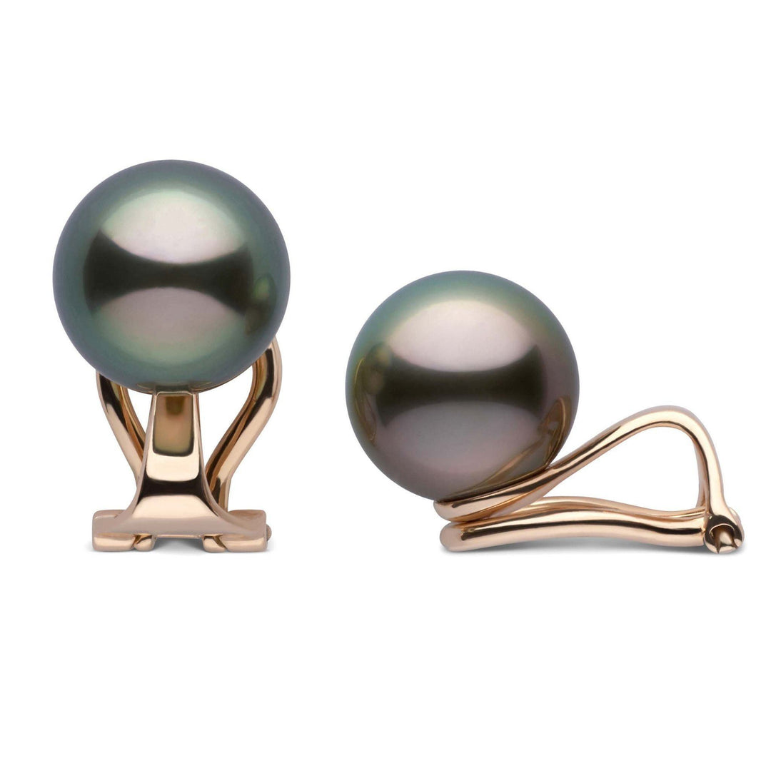 Clip Collection Tahitian 9.0-10.0 mm Pearl Stud Earrings yg