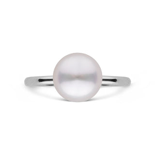 Demure Classic Collection 7.0-7.5 mm Akoya Pearl Ring white gold top view