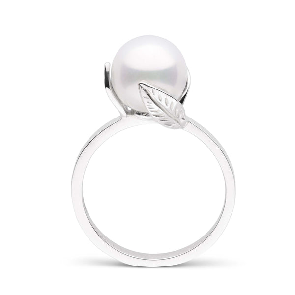 Leaf Collection 8.5-9.0 mm Freshadama Pearl Ring featuring a polished 14K white gold band with a single round freshwater pearl accented by a delicate leaf design.