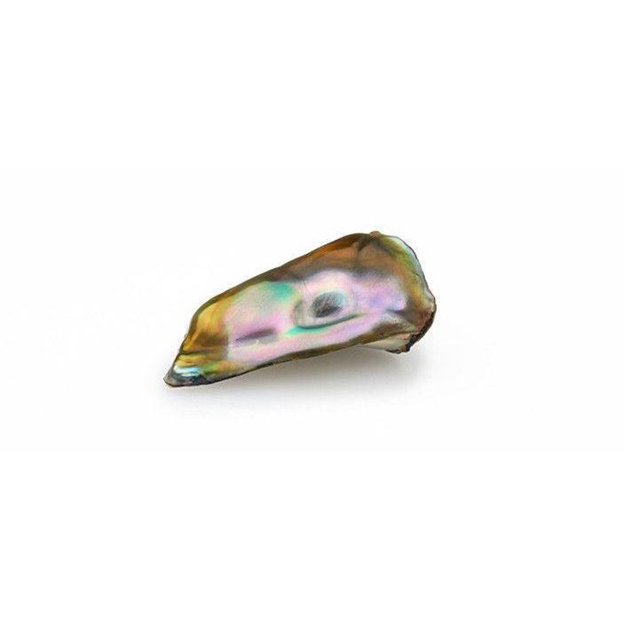 Natural Abalone Pearl 9.84 ct
