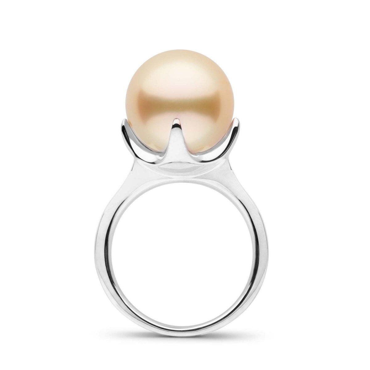 Oracle Collection Golden South Sea Pearl Ring wg