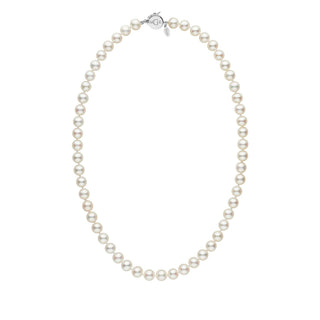 Personalized 7.5-8.0 mm White Freshadama Freshwater Pearl Circle Clasp Necklace featuring a strand of lustrous white freshwater pearls with a polished 14K white gold circle clasp.