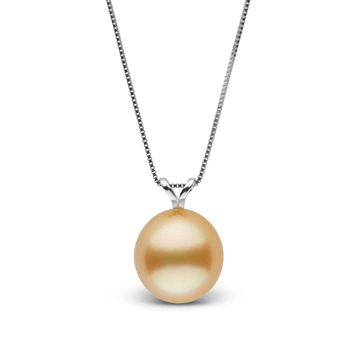 Unity Collection 9.0-10.0 mm Golden South Sea Pearl Drop Pendant featuring a lustrous golden cultured pearl suspended from a delicate 14K white gold chain, elegant and timeless.