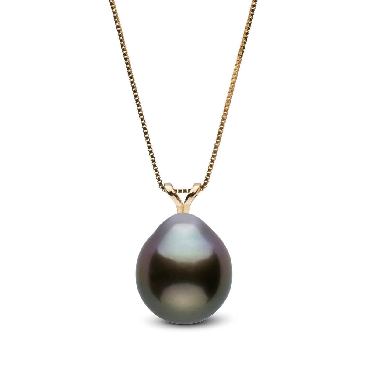 Unity Collection 9.0-10.0 mm Drop Tahitian Pearl Pendant featuring a lustrous dark pearl with subtle iridescent hues on a delicate gold chain.